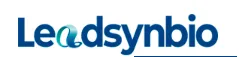 Leadsynbio