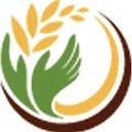 Leaf and Grains