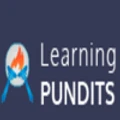 Learning Pundits
