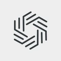 Leverage Shares logo