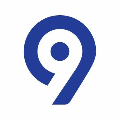 Levy9 logo
