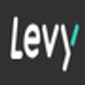 Levy Electric logo