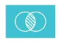 Lewi Software