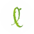 LianeCare logo