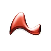 Lieberman Software logo