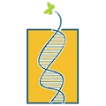 Lifecare Diagnostics