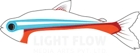 Light Flow Media Arts