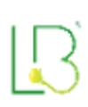 Lighting Bay logo