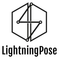 LightningPose logo