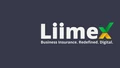 Liimex logo