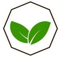 Lily and Beans logo