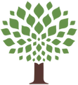 Lime Tree Hotel