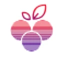 Limeberry Technology Solution