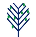 LimeTree Capital logo