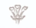 Lingfield Park logo