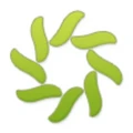 Lingoport logo