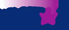 LINSTAR logo
