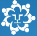 Lion Strategy Group logo