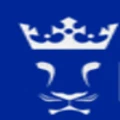 Lioonnize logo