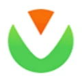 Liying logo