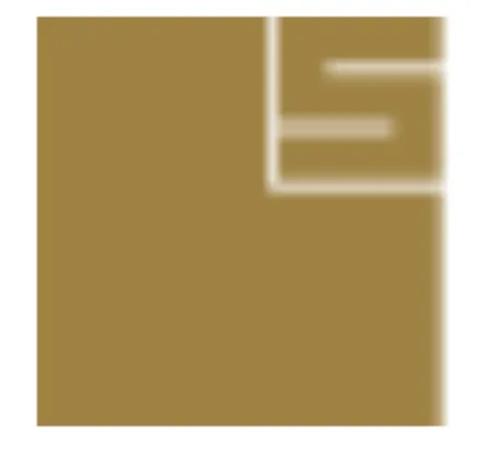 L&S Venture Capital logo