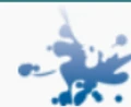 Local Splash logo