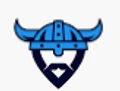 Local Viking logo