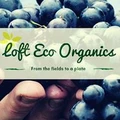 Loft Eco Organics