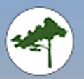 Lone Cypress logo