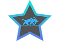Lonestar Scouting logo