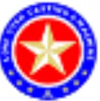 Lone Star Casting logo