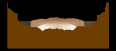 Lone Star Park logo