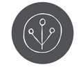 Lostine logo