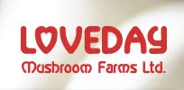 Loveday Mushroom Farms logo