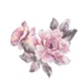 LoveShackFancy logo