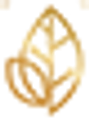 Lucent Gardens