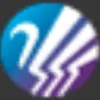 Lumir Inc.