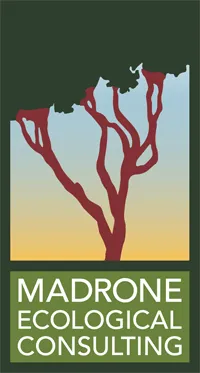 Madrone Eco logo