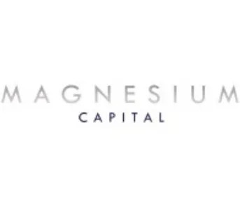 Magnesium Capital logo
