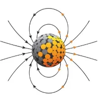 LifeMagnetics logo