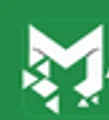 Mahila Store