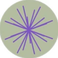 MainCross
