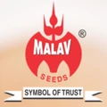 Malav Seeds