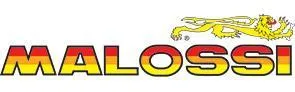 Malossi logo