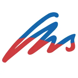 ManageServe logo