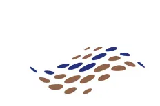 Manchester Specialty Programs logo