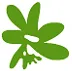 Mangrove Capital Partners logo