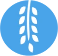 Manna Digital Consulting logo