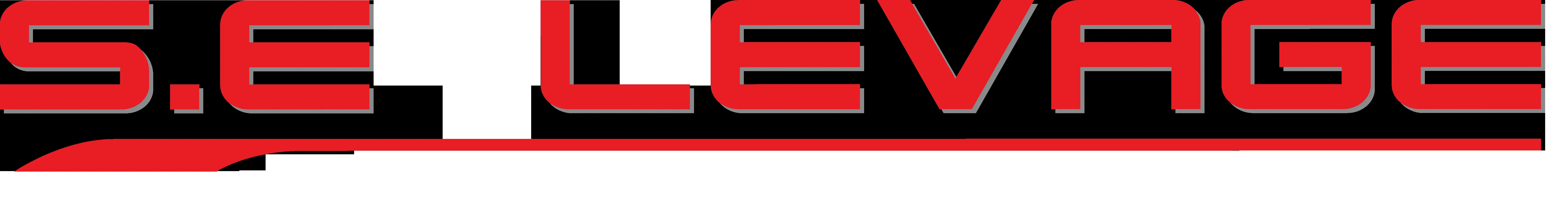 SE Levage logo