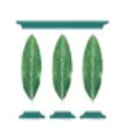 Manzanita Capital logo